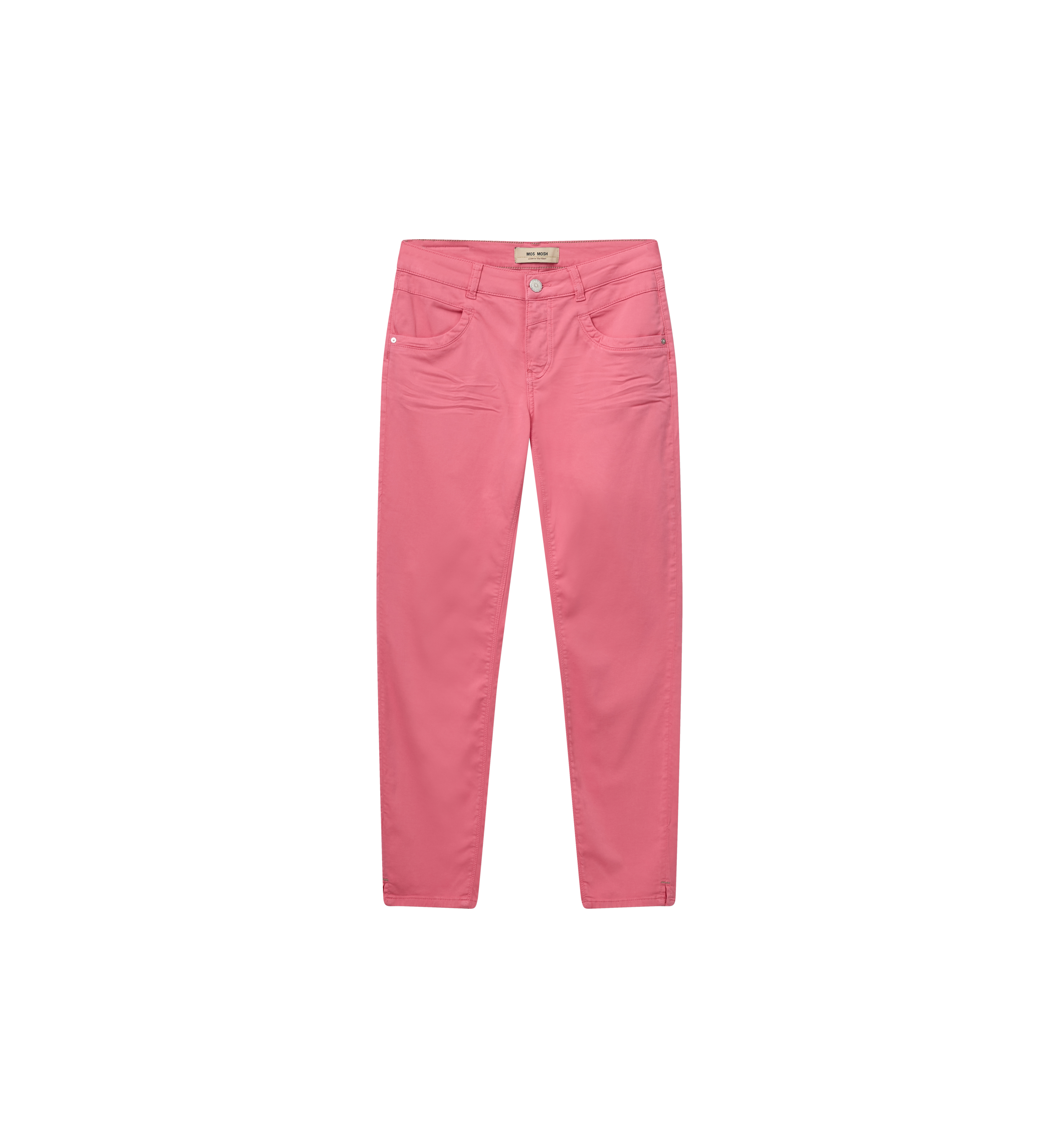 Packshot / Camellia Rose / Front